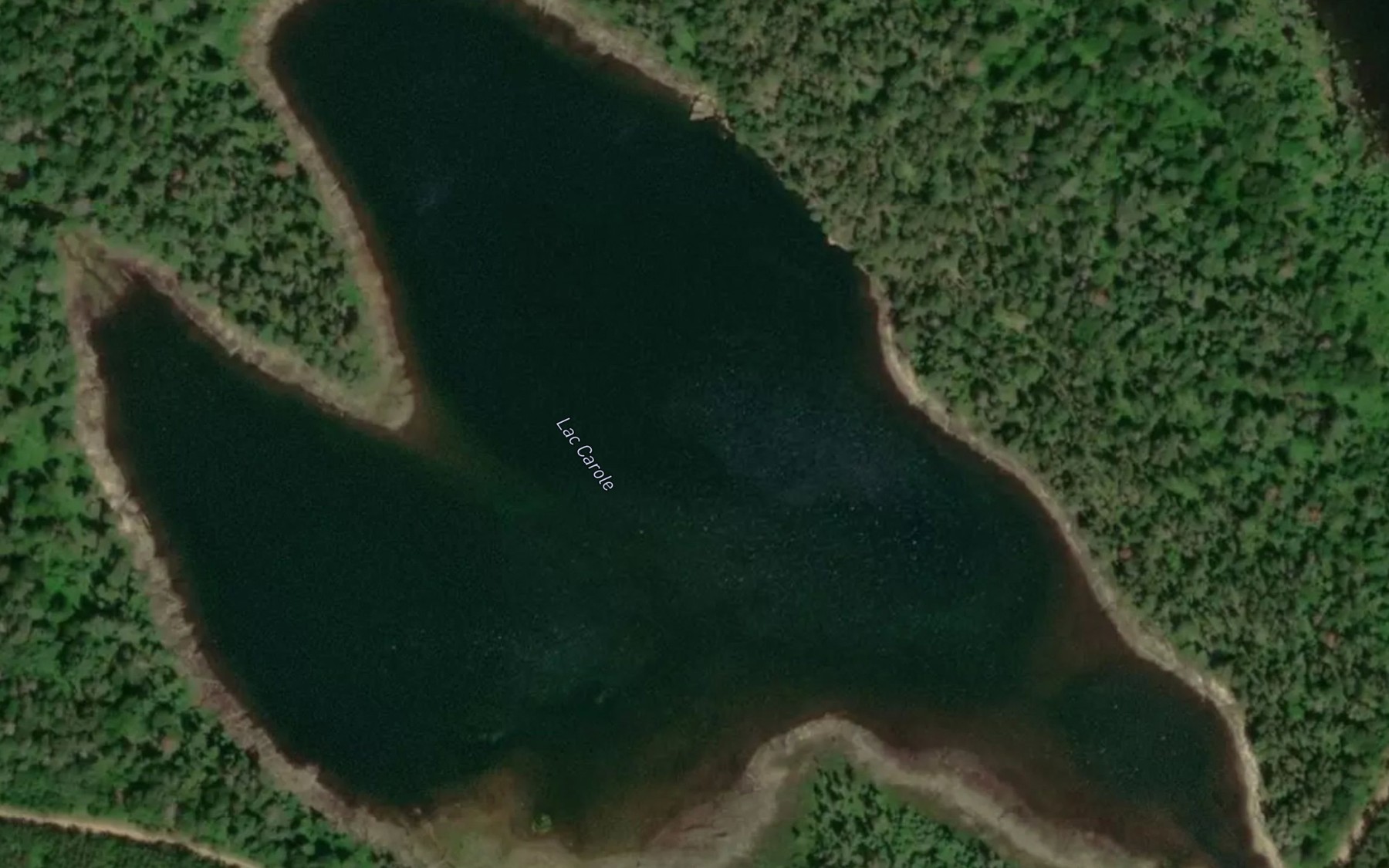Satellite map of the Lac Carole