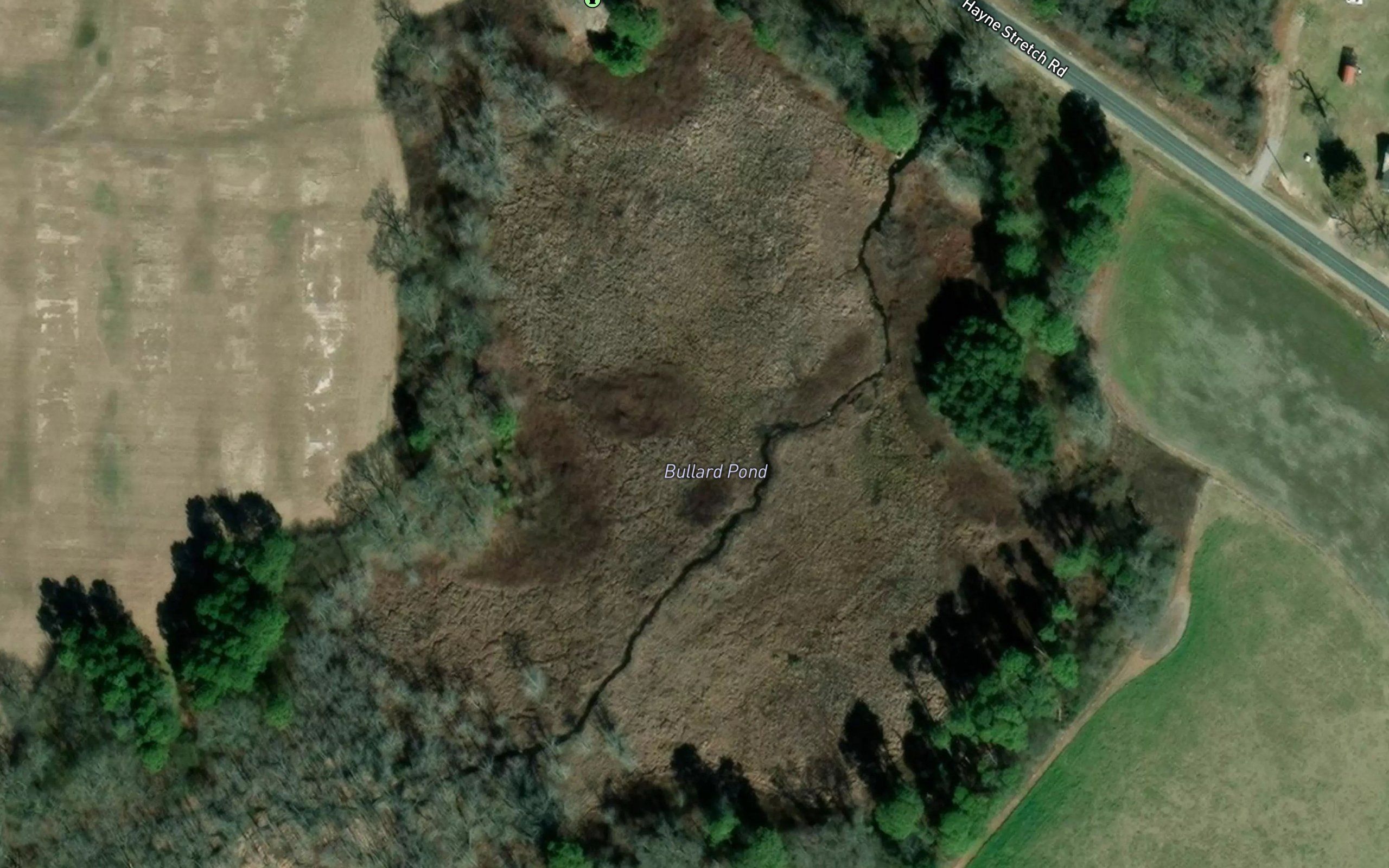 Bullard Pond