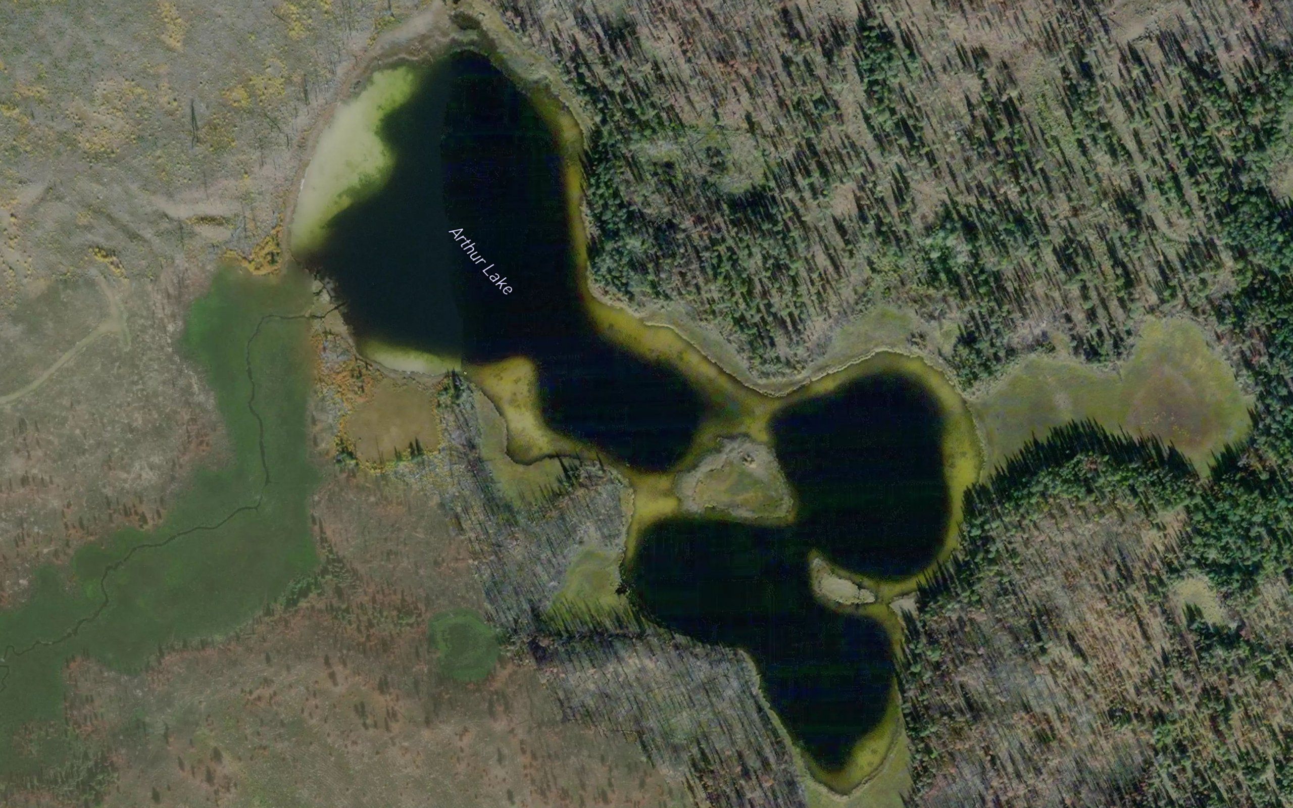 Arthur Lake