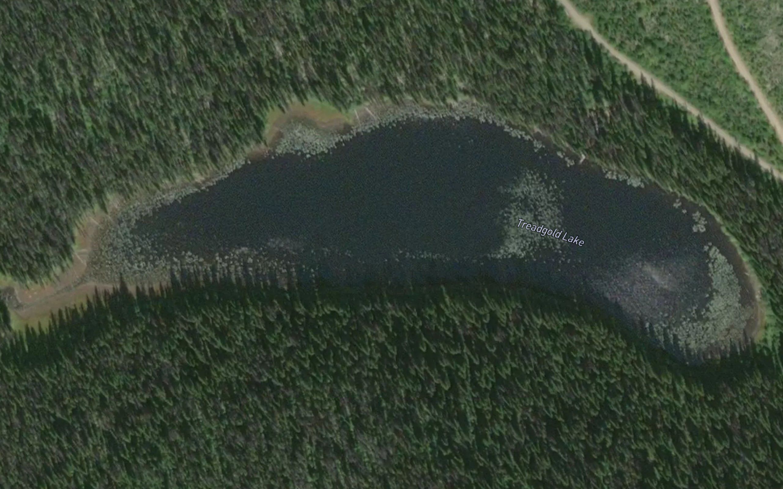 Treadgold Lake