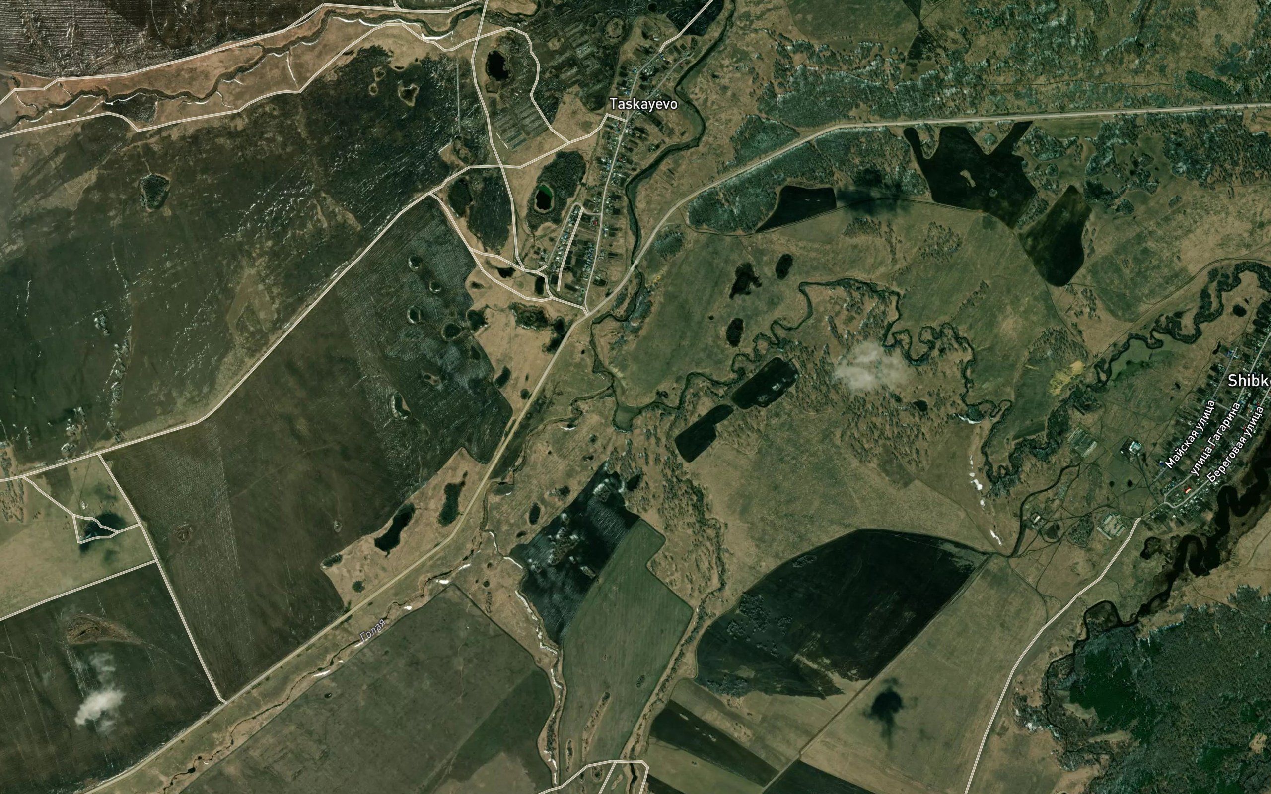 Golaya