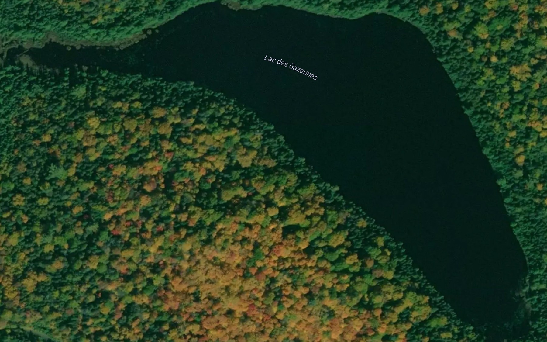 Satellite map of the Lac des Gazounes