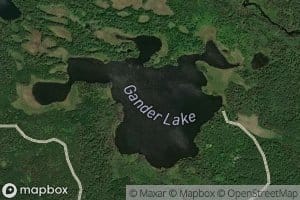 Gander Lake
