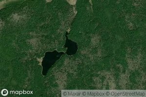 Lac Pekinois