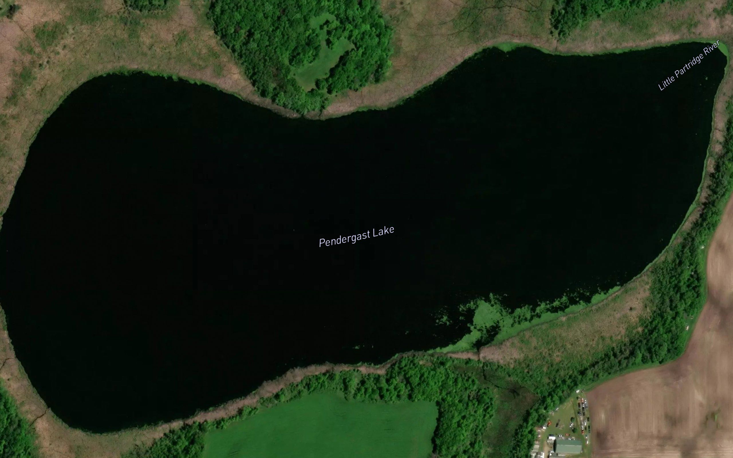Pendergast Lake