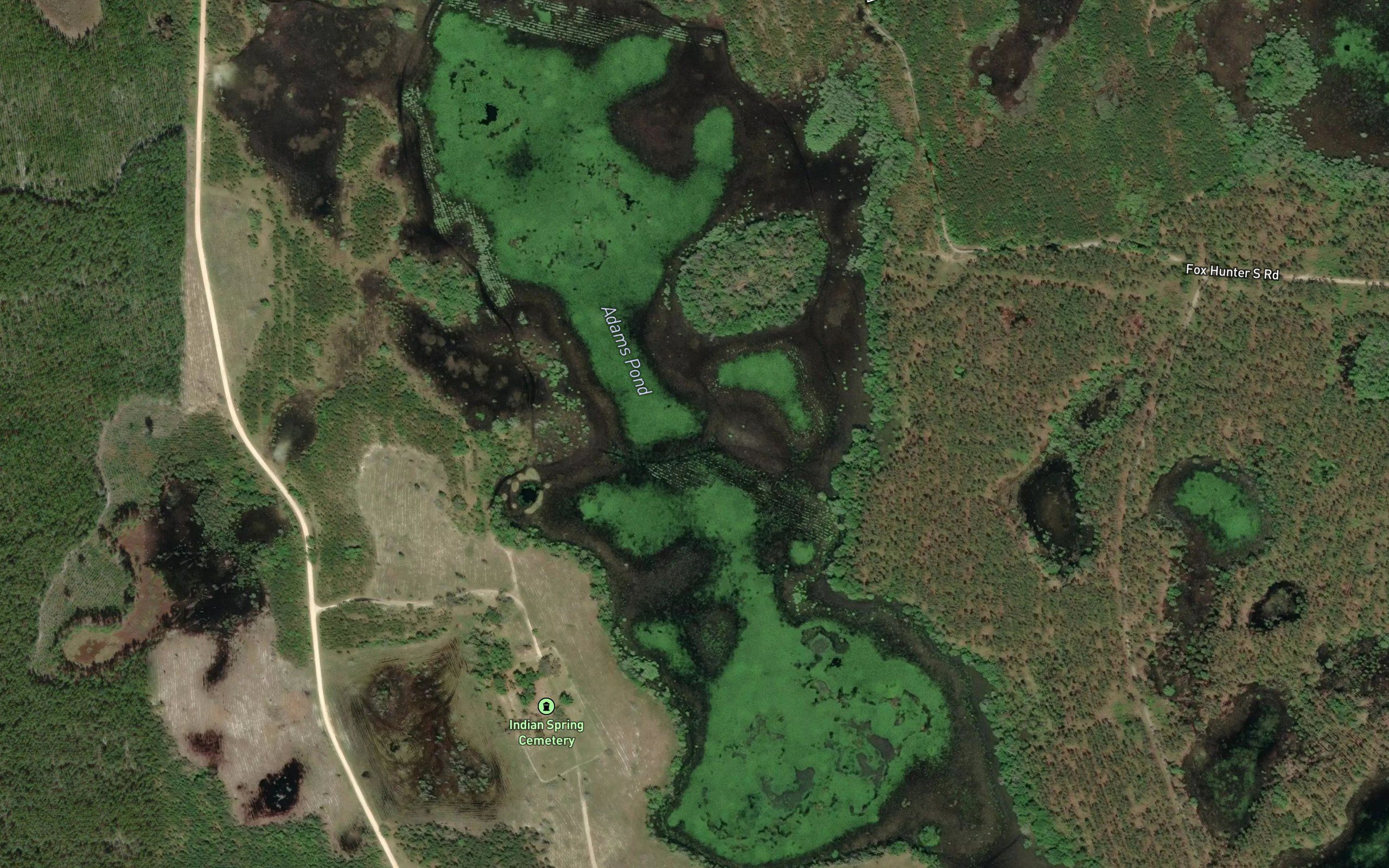 Adams Pond