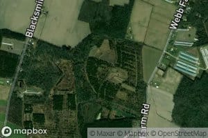 Stallion Head Branch