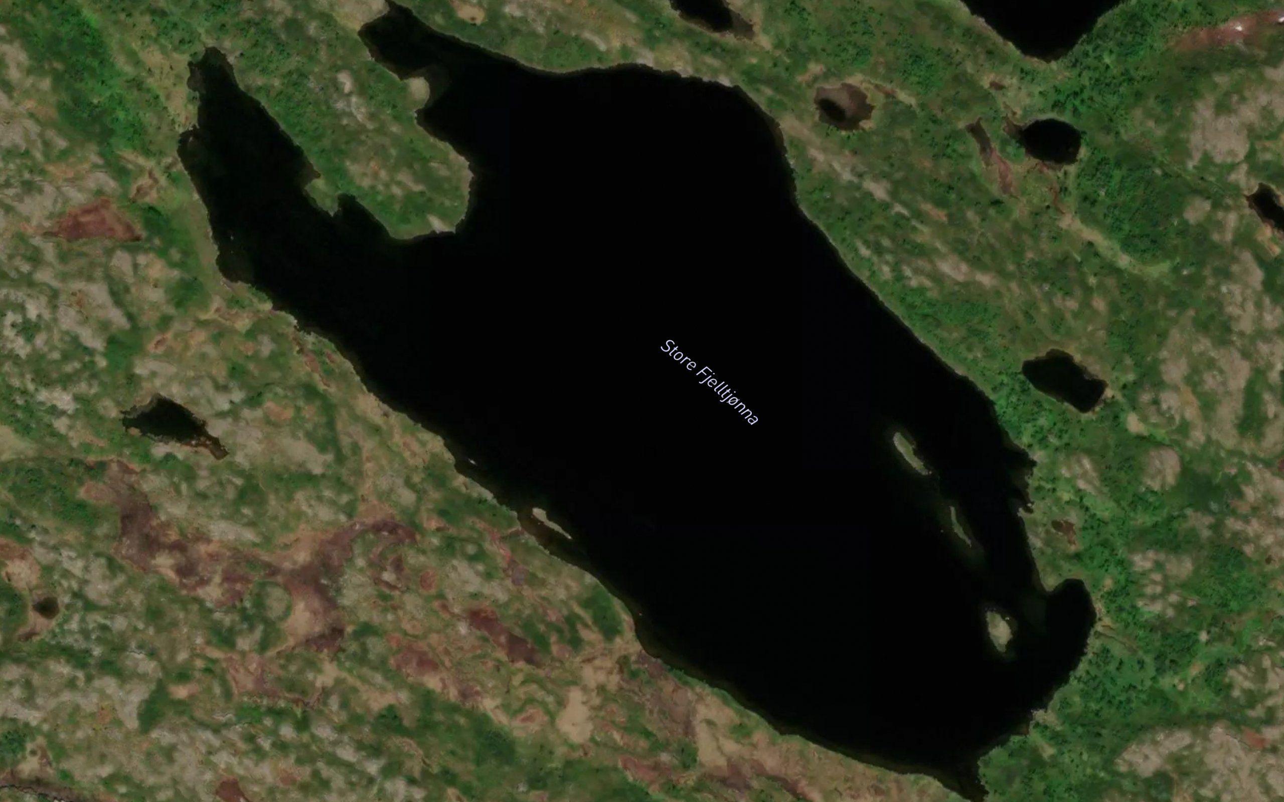 Store Fjelltjorna