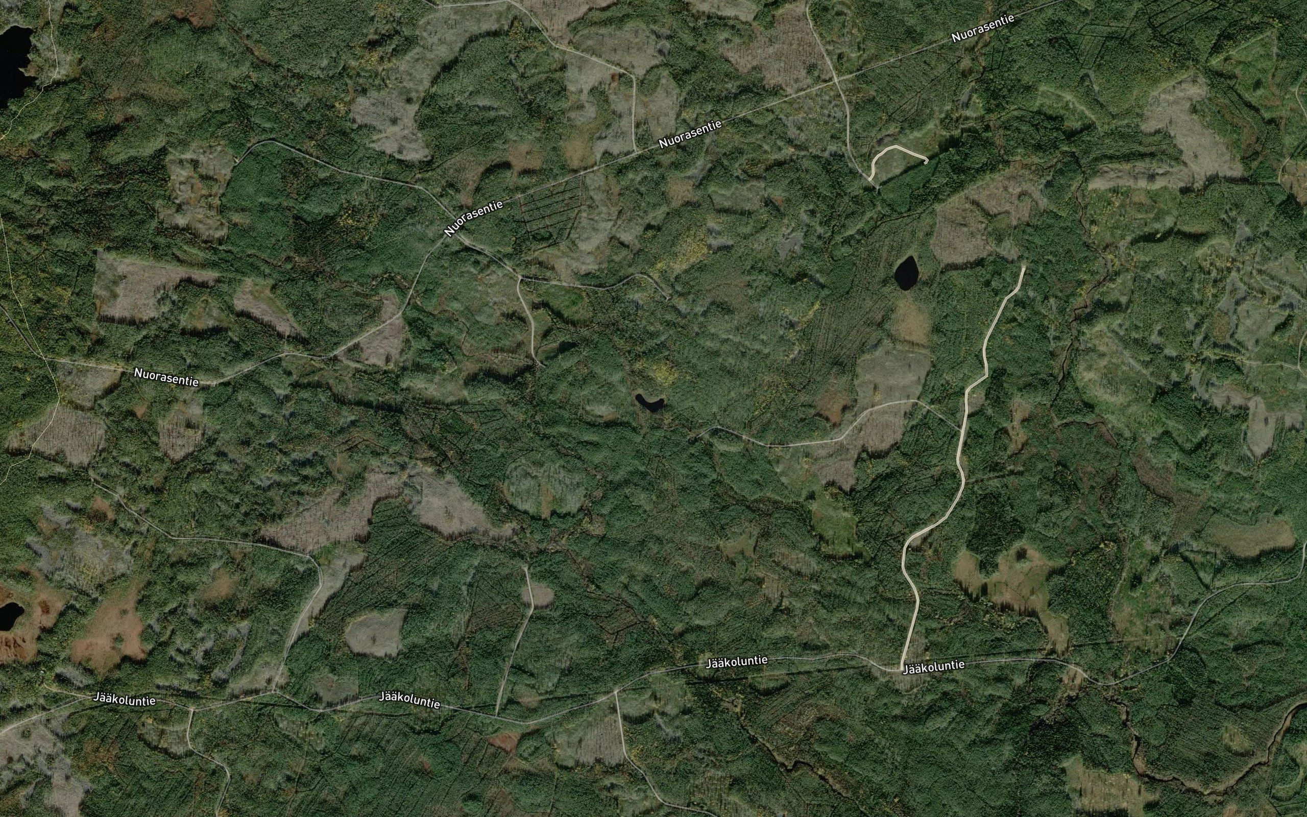 Hanhilampi