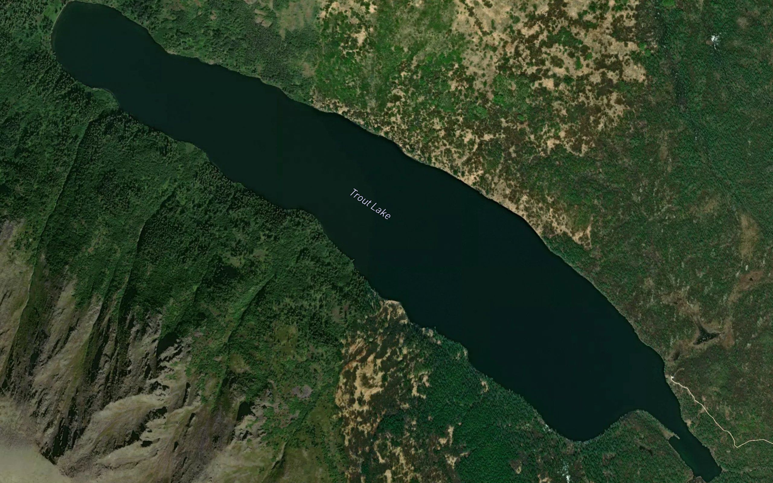 Trout Lake