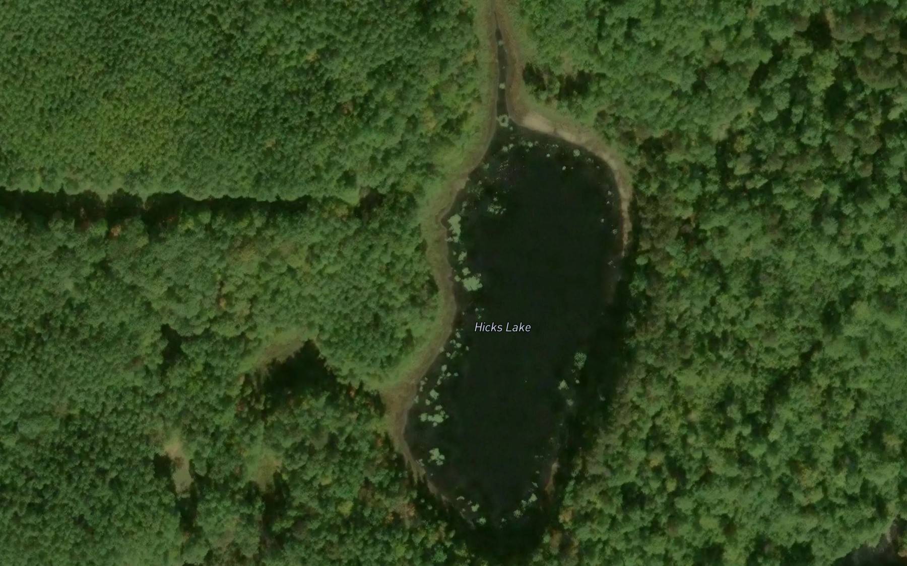 Satellite map of the Hicks Lake