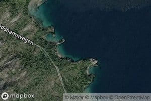 Bossvika