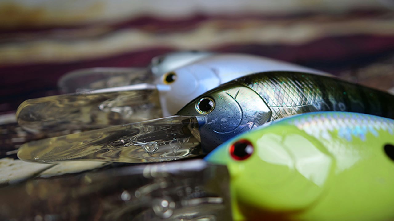 Different Types of Lures l Fishing Lure Names Different Types of Lures l Fishing Lure Names