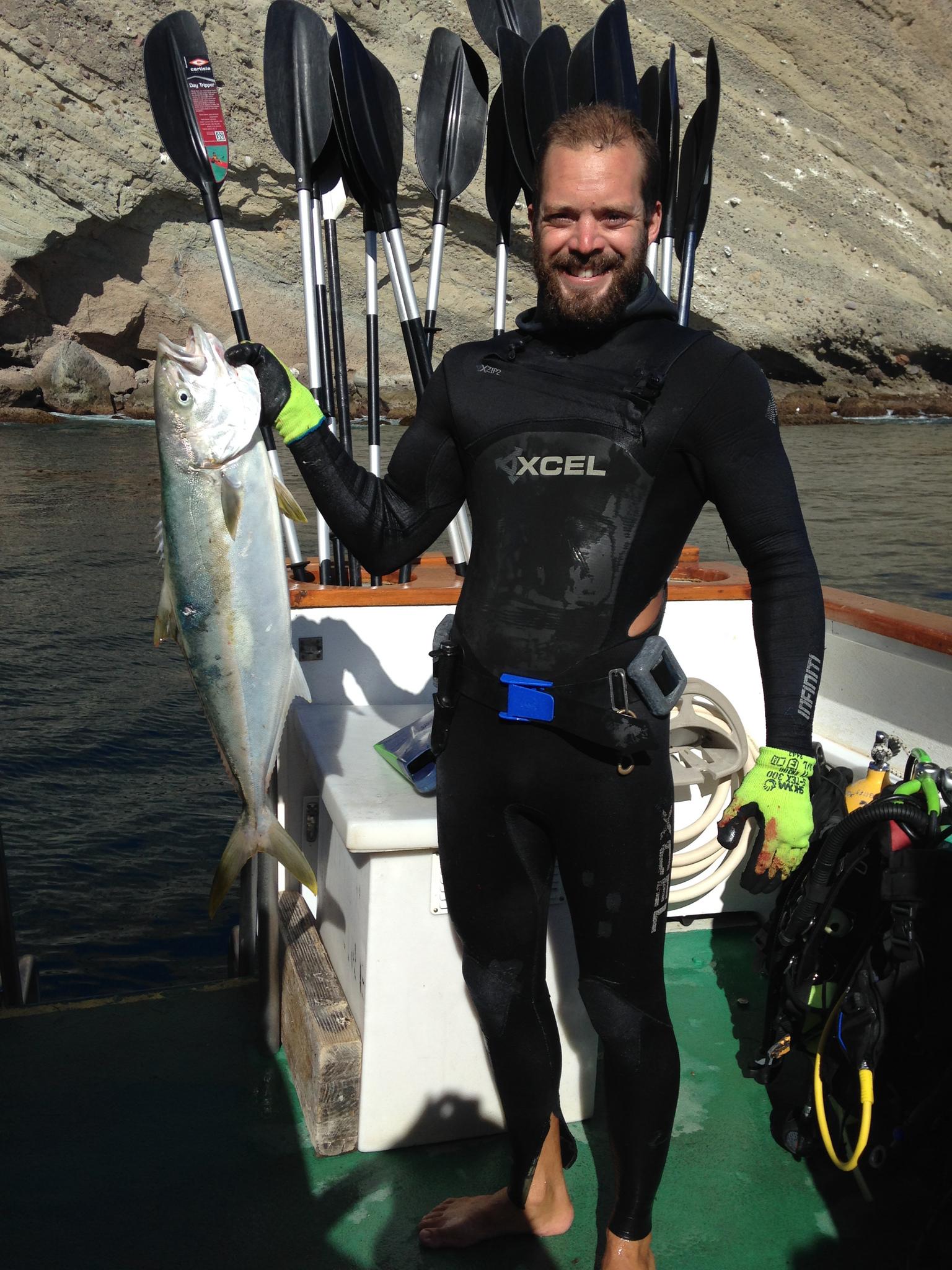 Yellowtail Amberjack