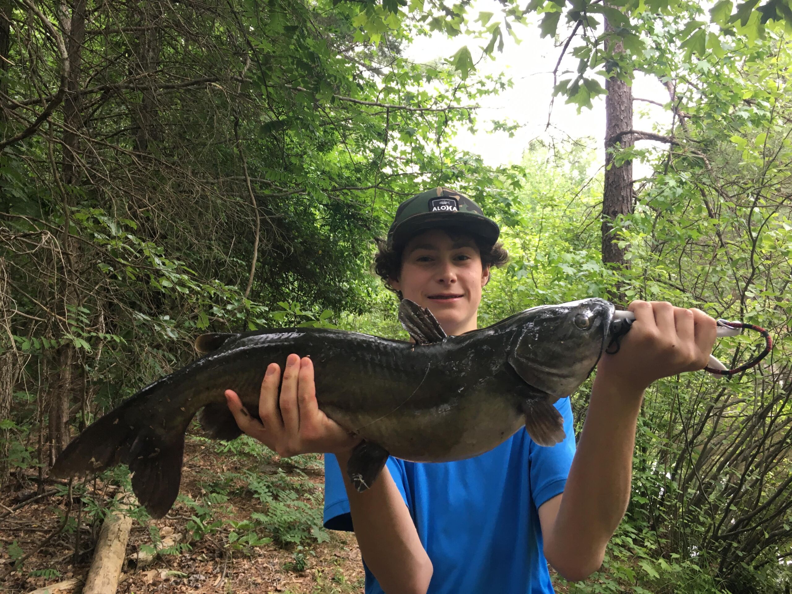 How to Catch Catfish: Your Ultimate Guide to Fishing Catfish