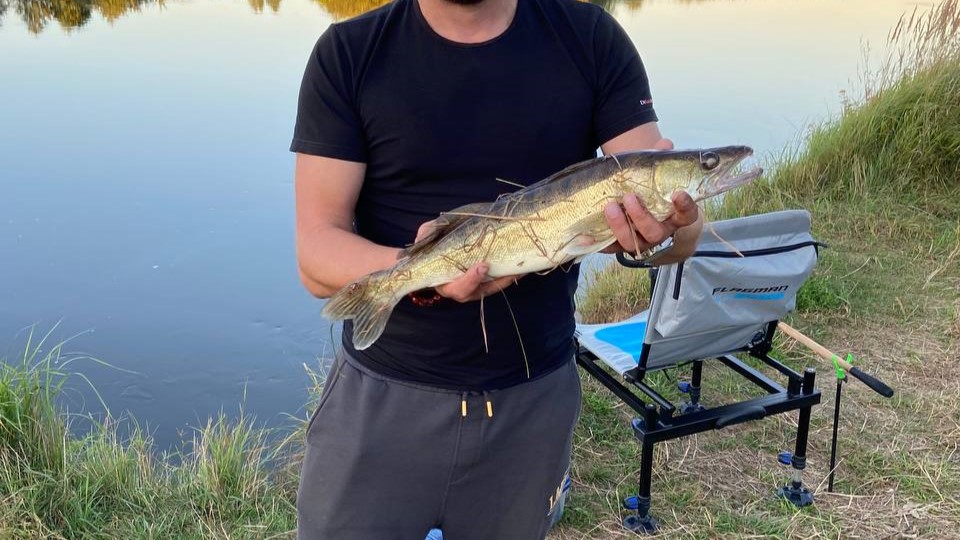 Cabo Fishing Seasons: Your Guide to the Best Times to Catch Marlin, Tuna, and More!