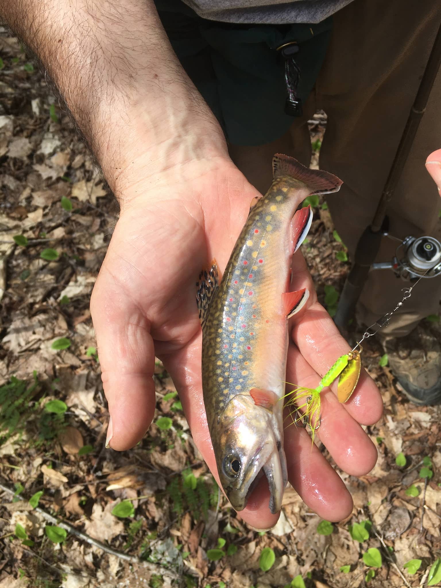 Trout fishing setup Trout fishing rigs for streams