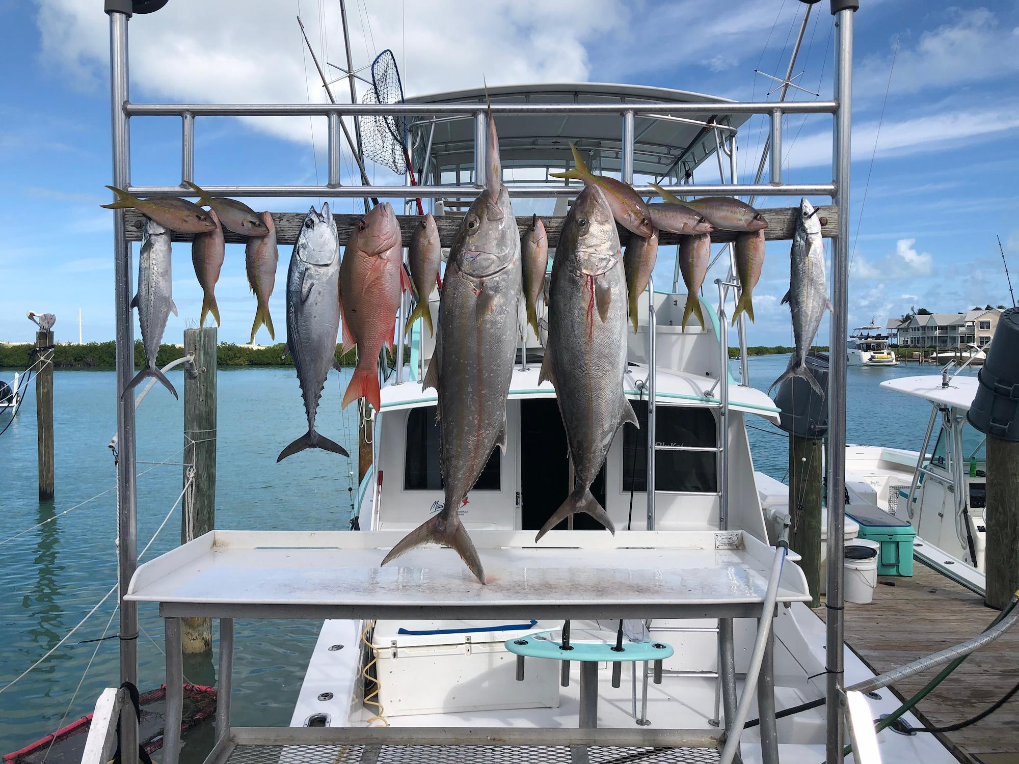 Florida Keys fish