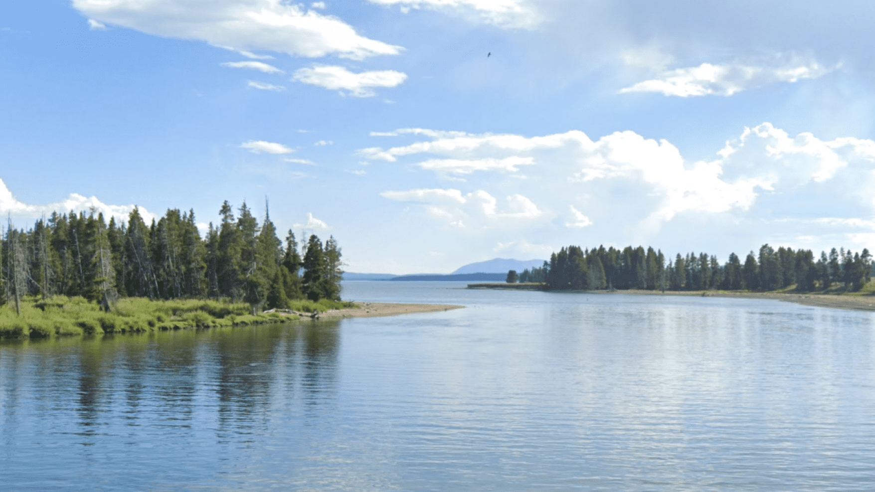 https://wp.web.fishbox.com/wp-content/uploads/2024/09/wyoming-fishing-license-1.png image