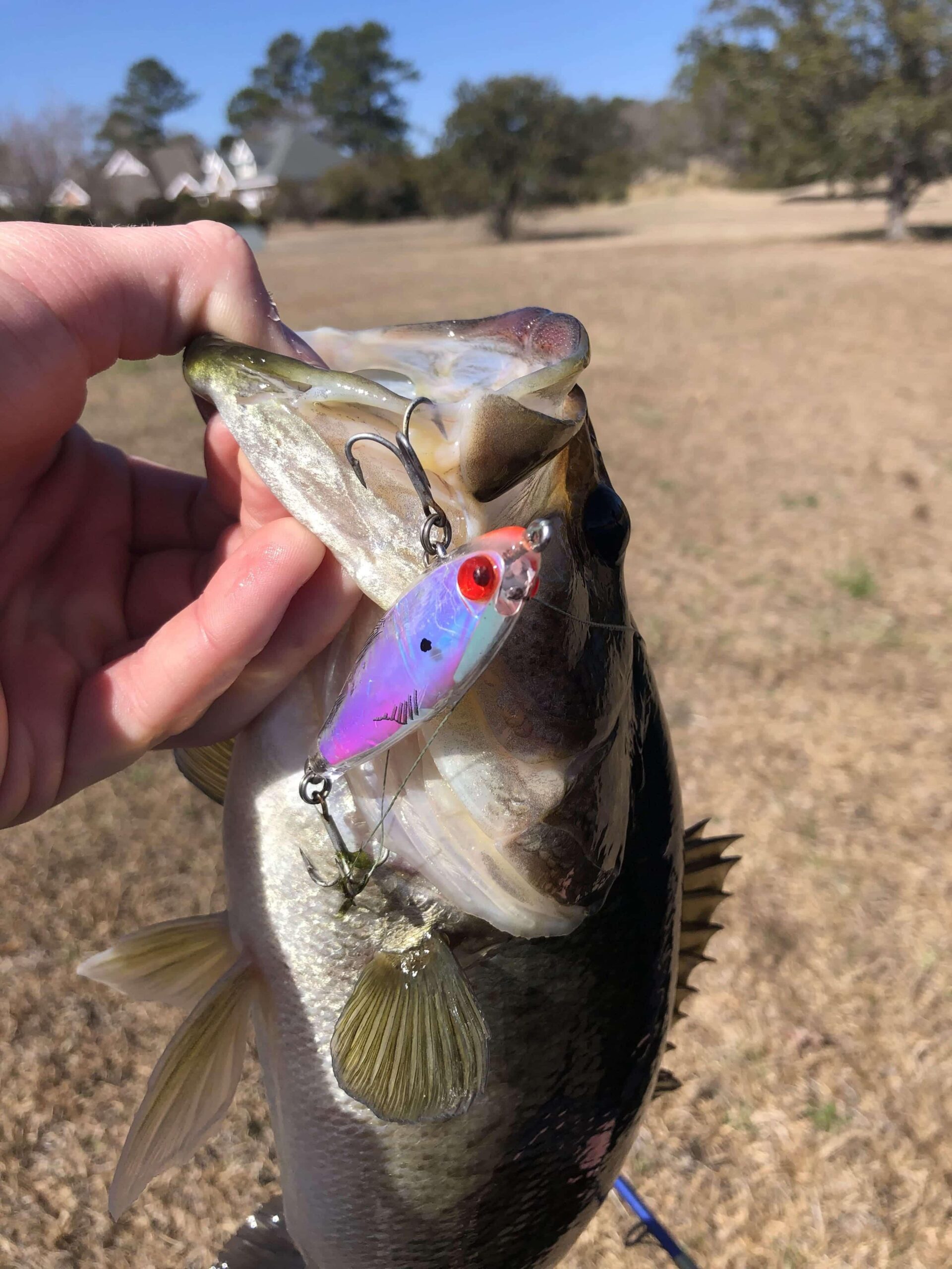 Overview of the most common fishing lure types