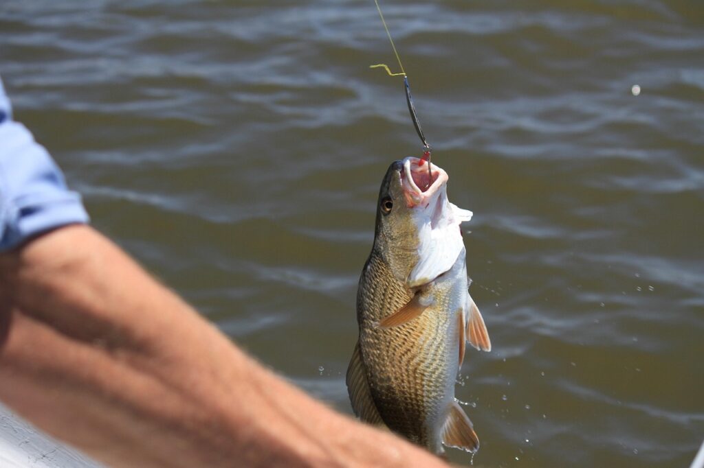 Different Types of Lures l Fishing Lure Names