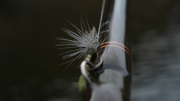 A Complete Guide to Trout Fly Fishing