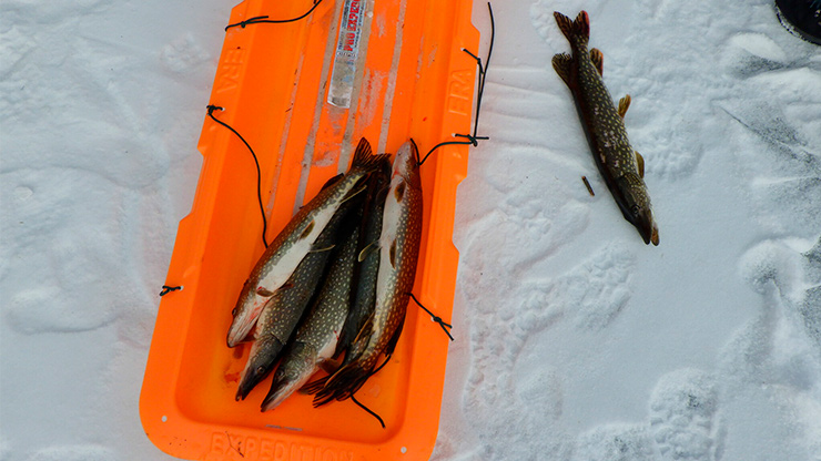 Ice Fishing Basics: Tips, Gear & Safety for BeginnersIce Fishing Basics
