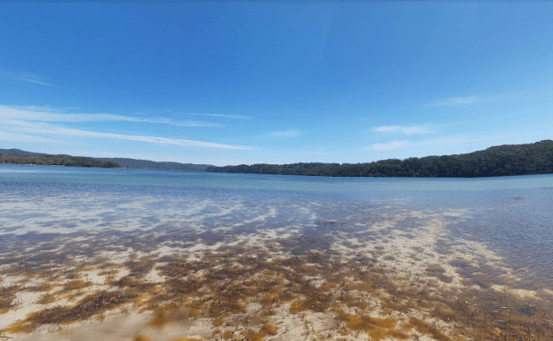 Complete Guide to New South Wales Fishing Licences