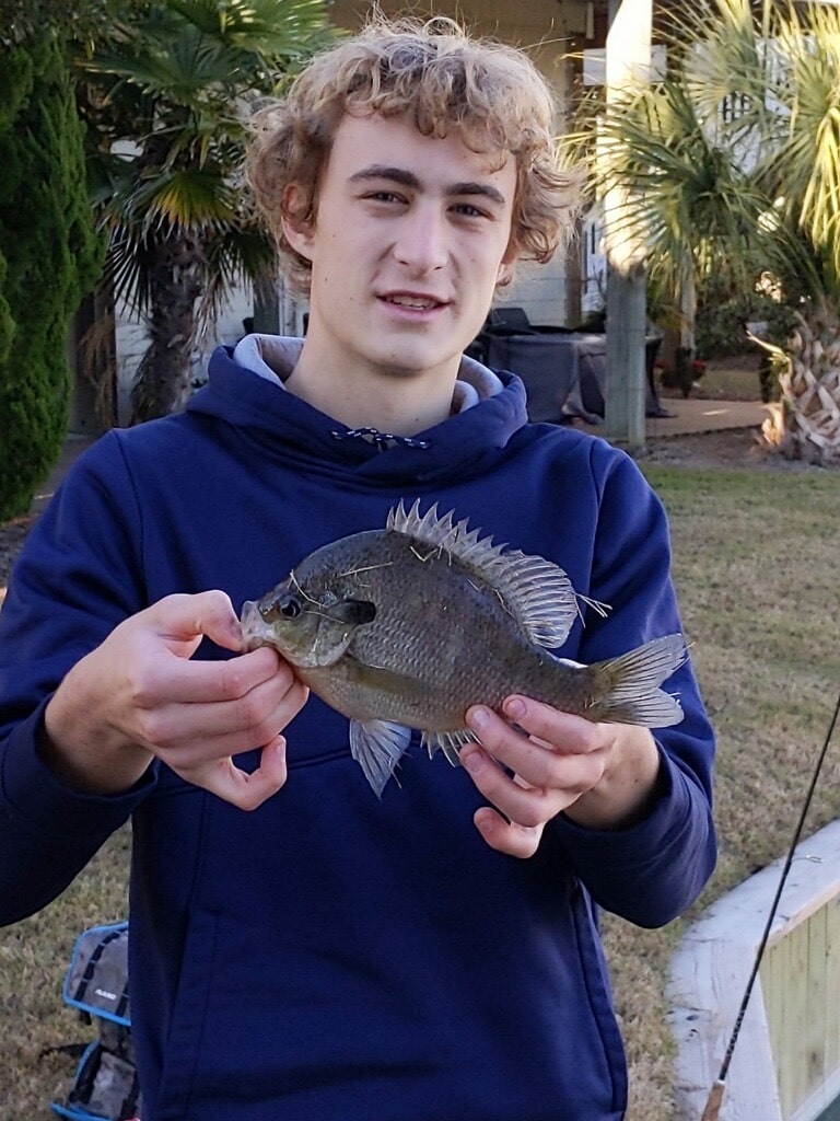 Caught Bluegill in hands