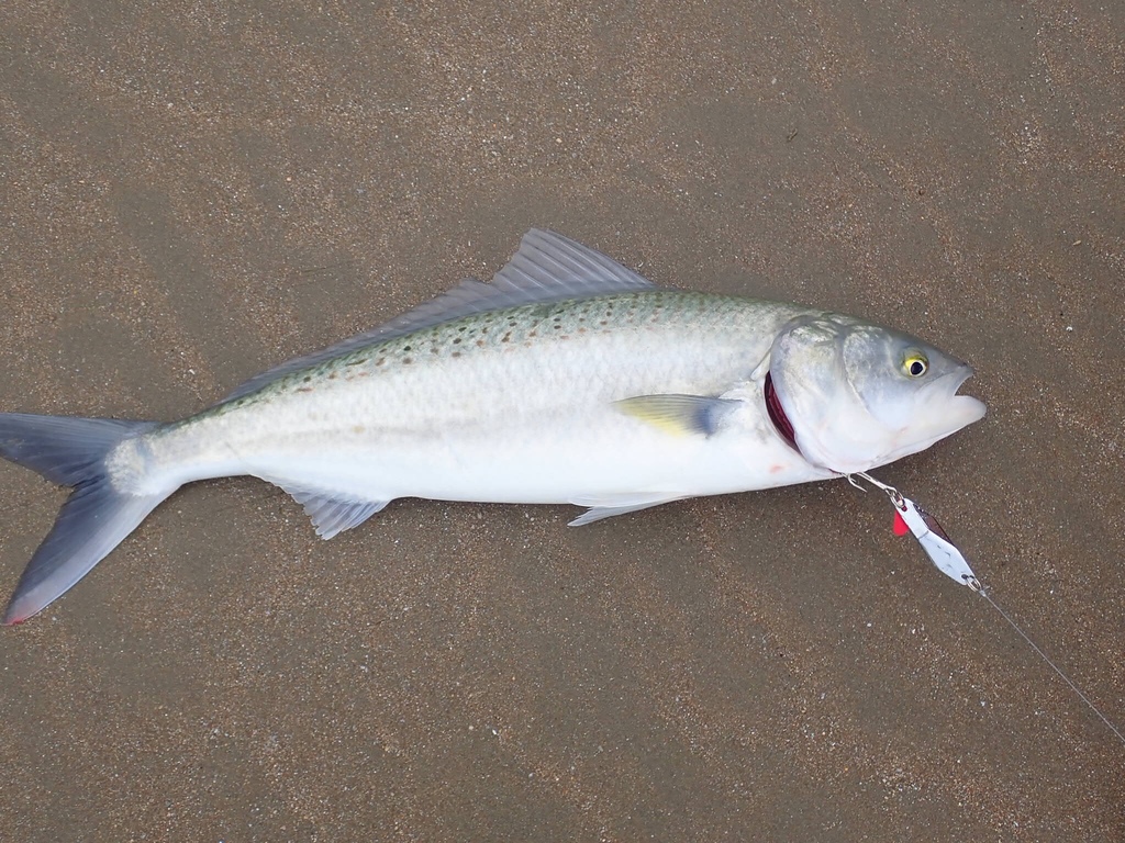 The Best Fishing Spots in Melbourne: A Comprehensive Guide