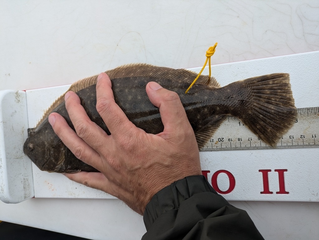 The Best Fishing Piers in New Jersey: Your Ultimate Guide