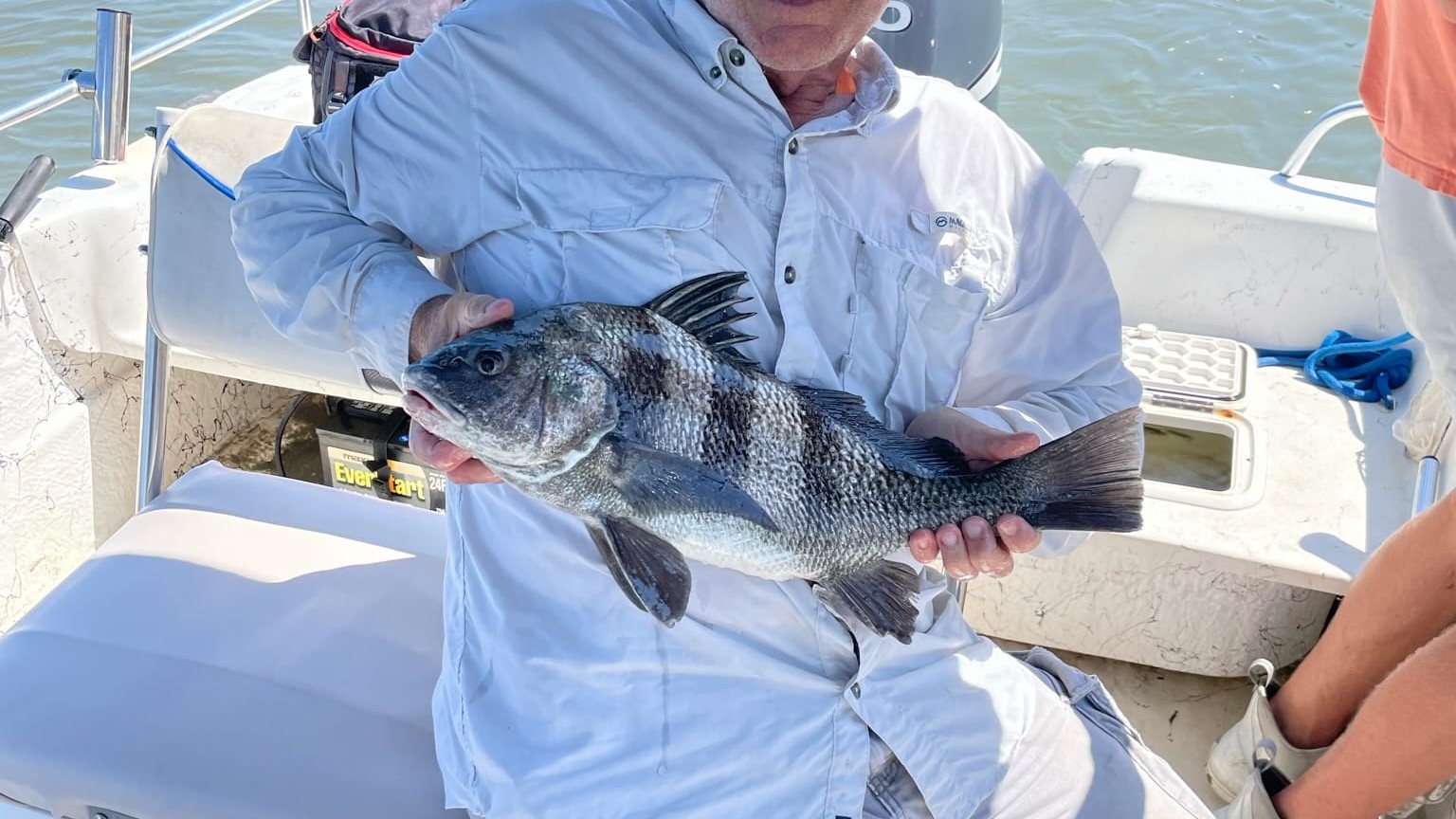 The Best Bait for Saltwater Fishing: Complete Guide