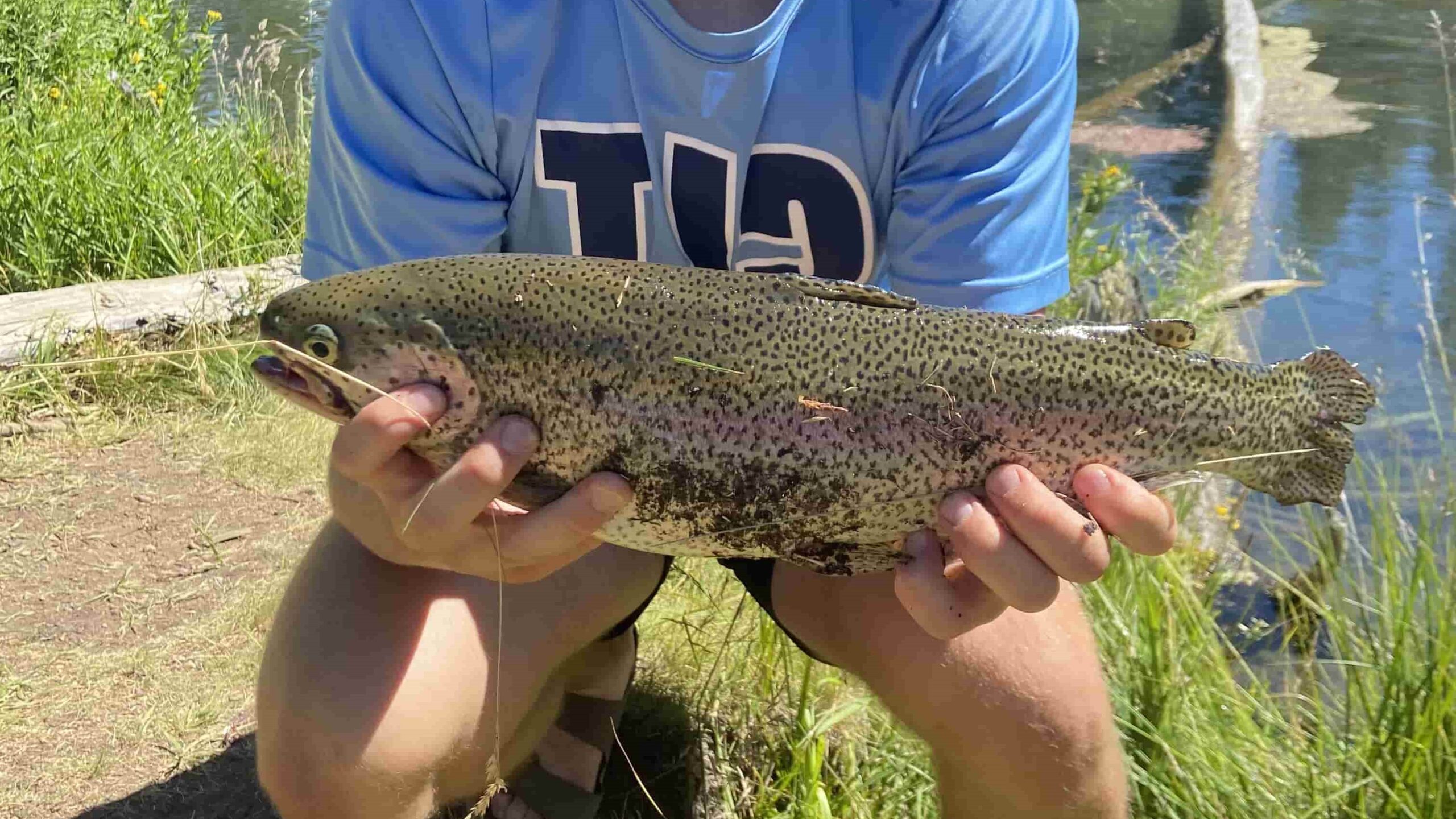 The Best Bait for Lake Fishing: A Complete Guide to Choosing the Right Bait