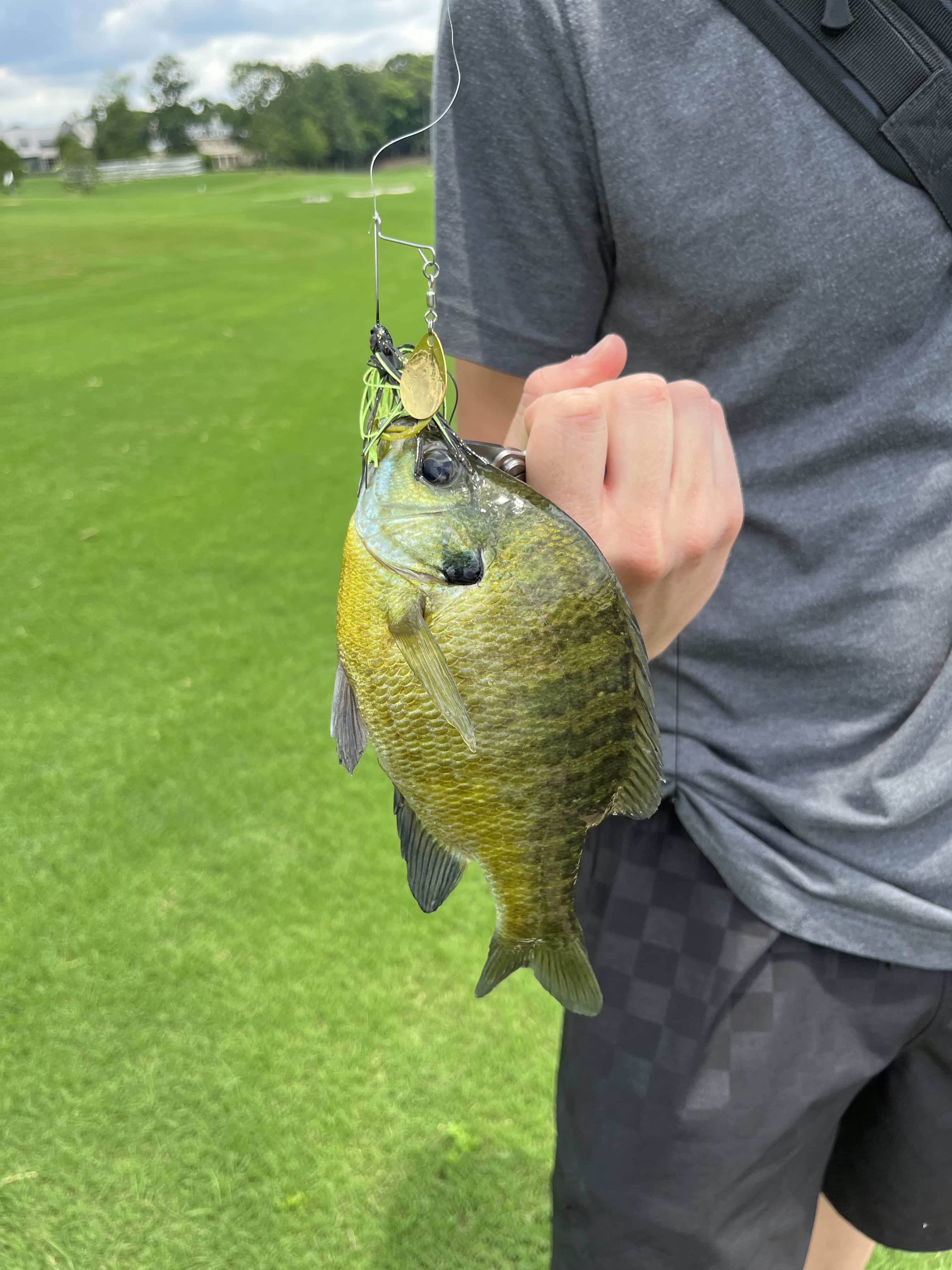 Best bait for fishing in lakes