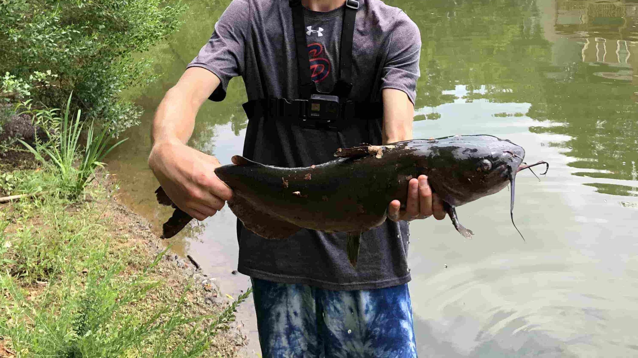 A Guide to Night Catfishing: Tips, Best Times, and Essential Gear