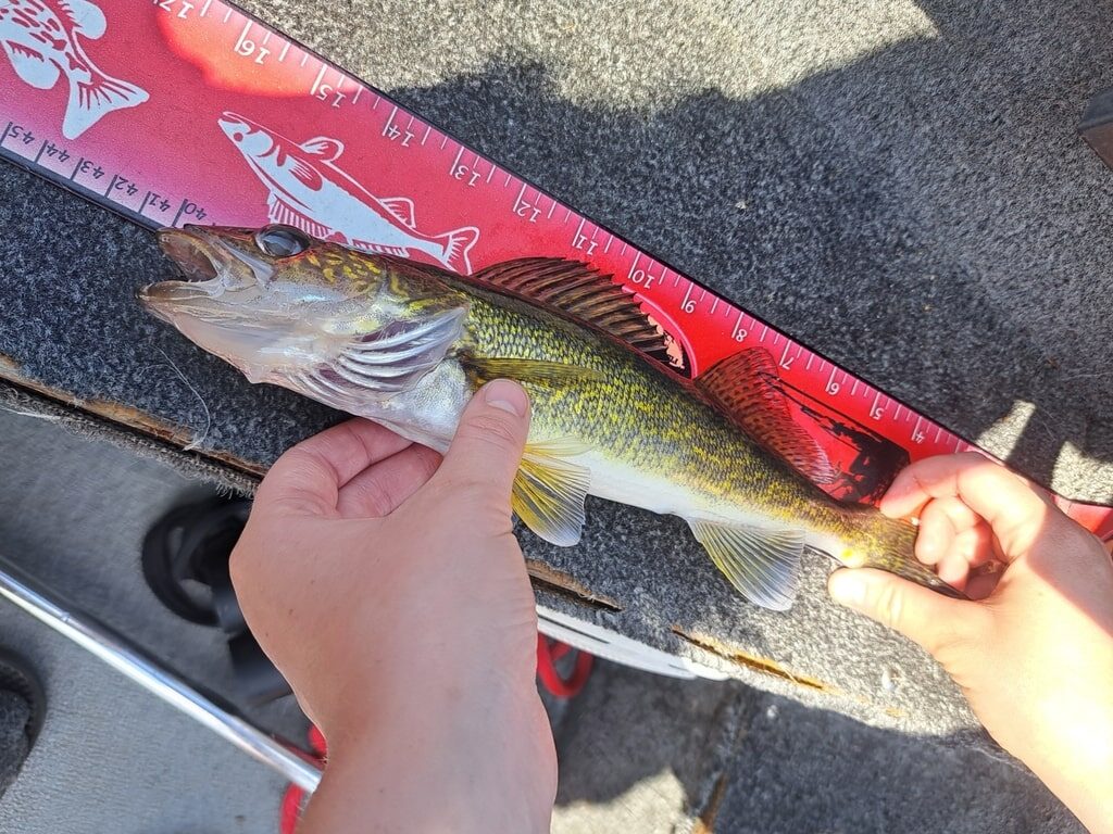 The Best Lakes in and Around Columbus, Ohio