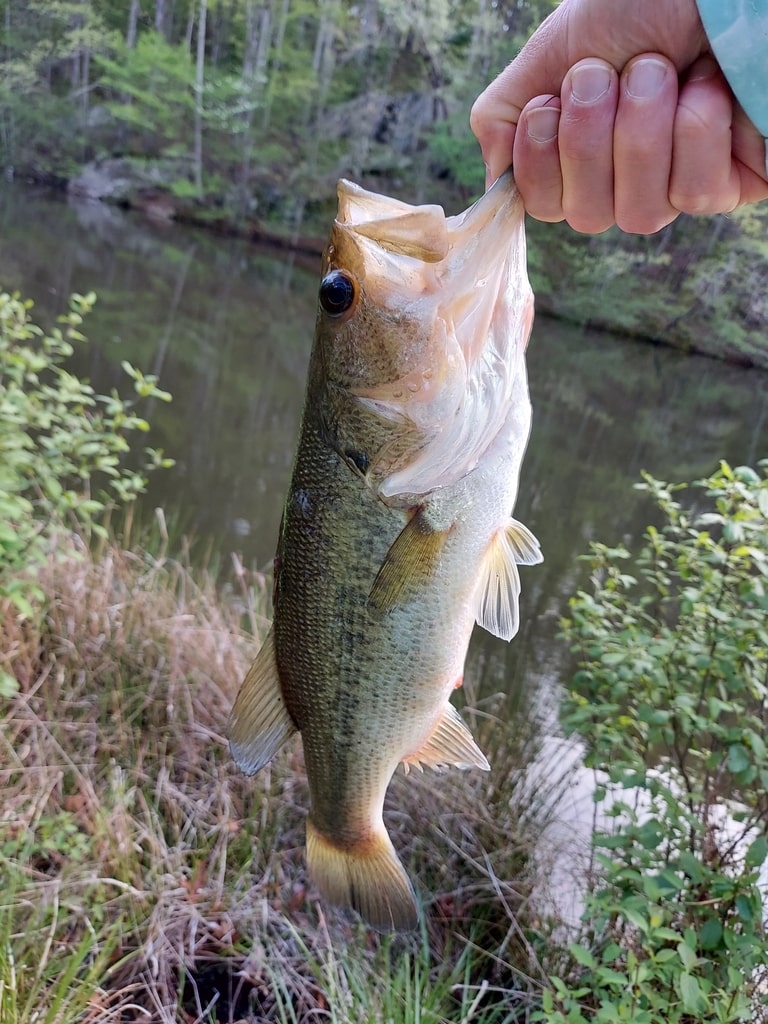 Fishing trip checklist