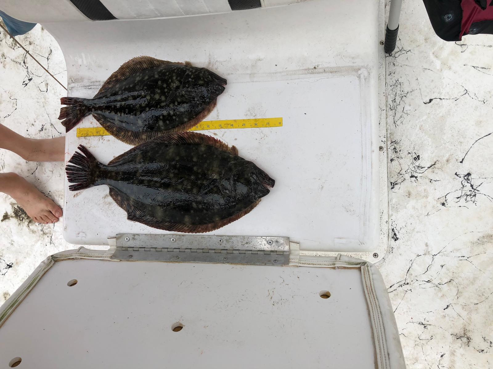 flounder on mullet