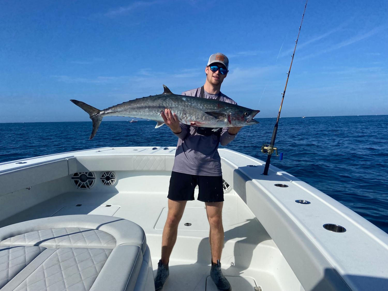 king mackerel on live pogy