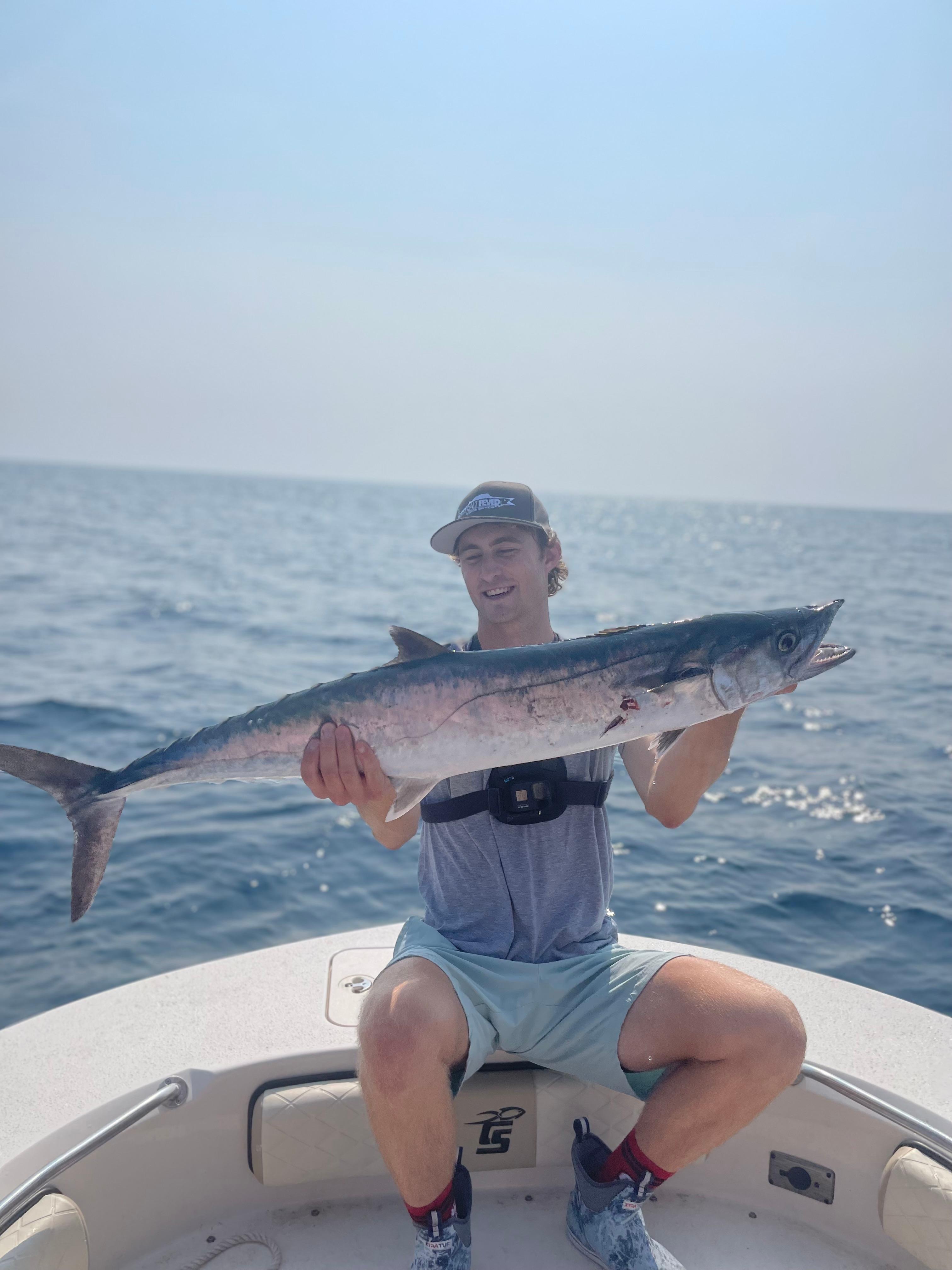 king mackerel on live pogy
