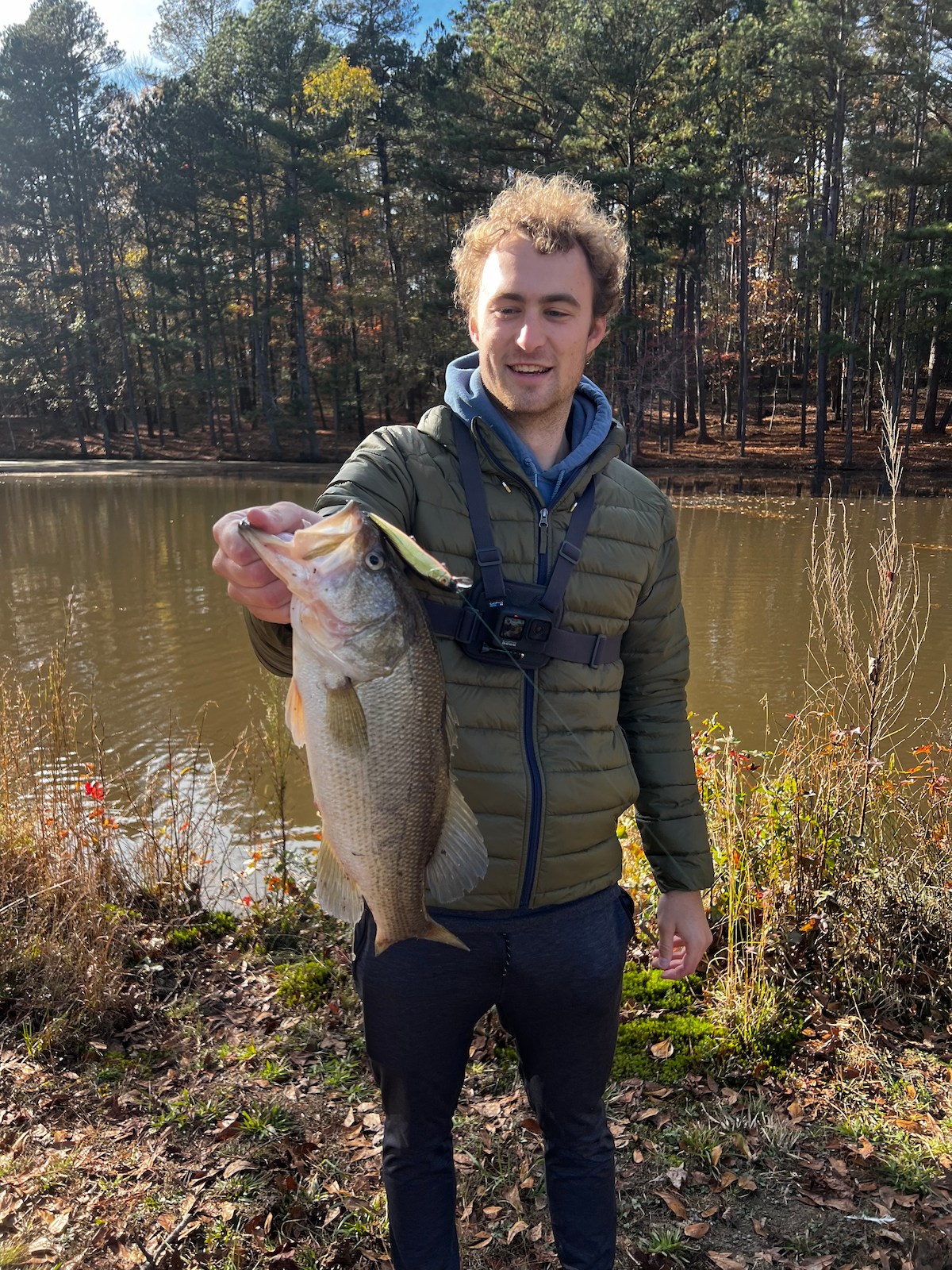 lake largemouth bass