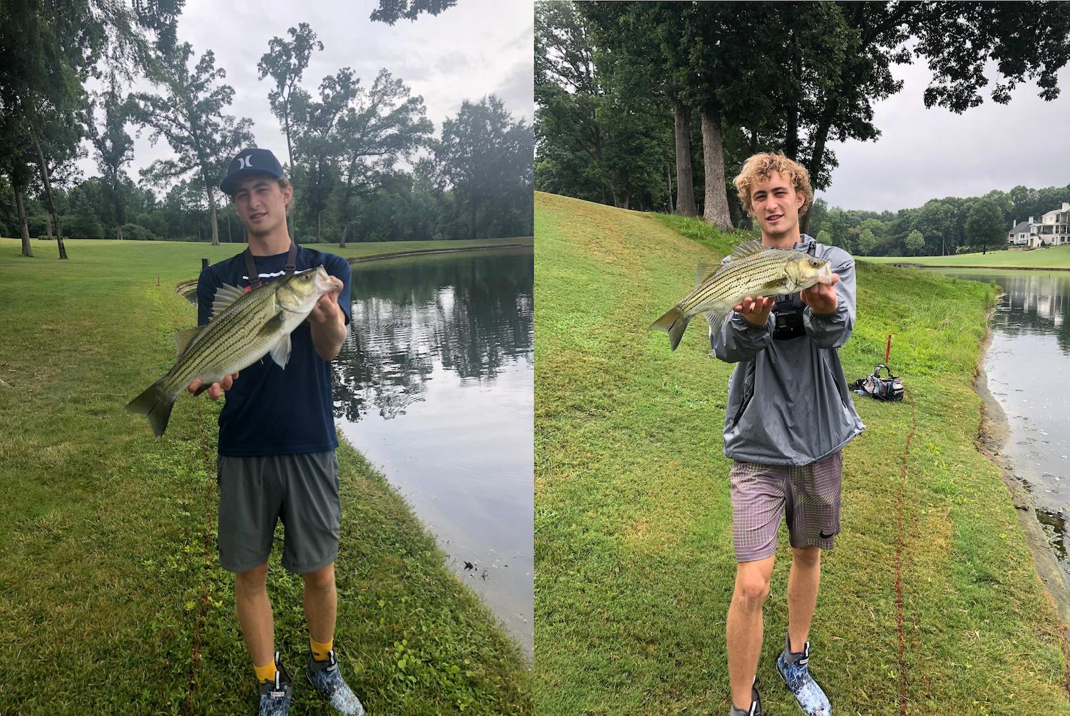 How to Catch Striped Bass: Expert Guide