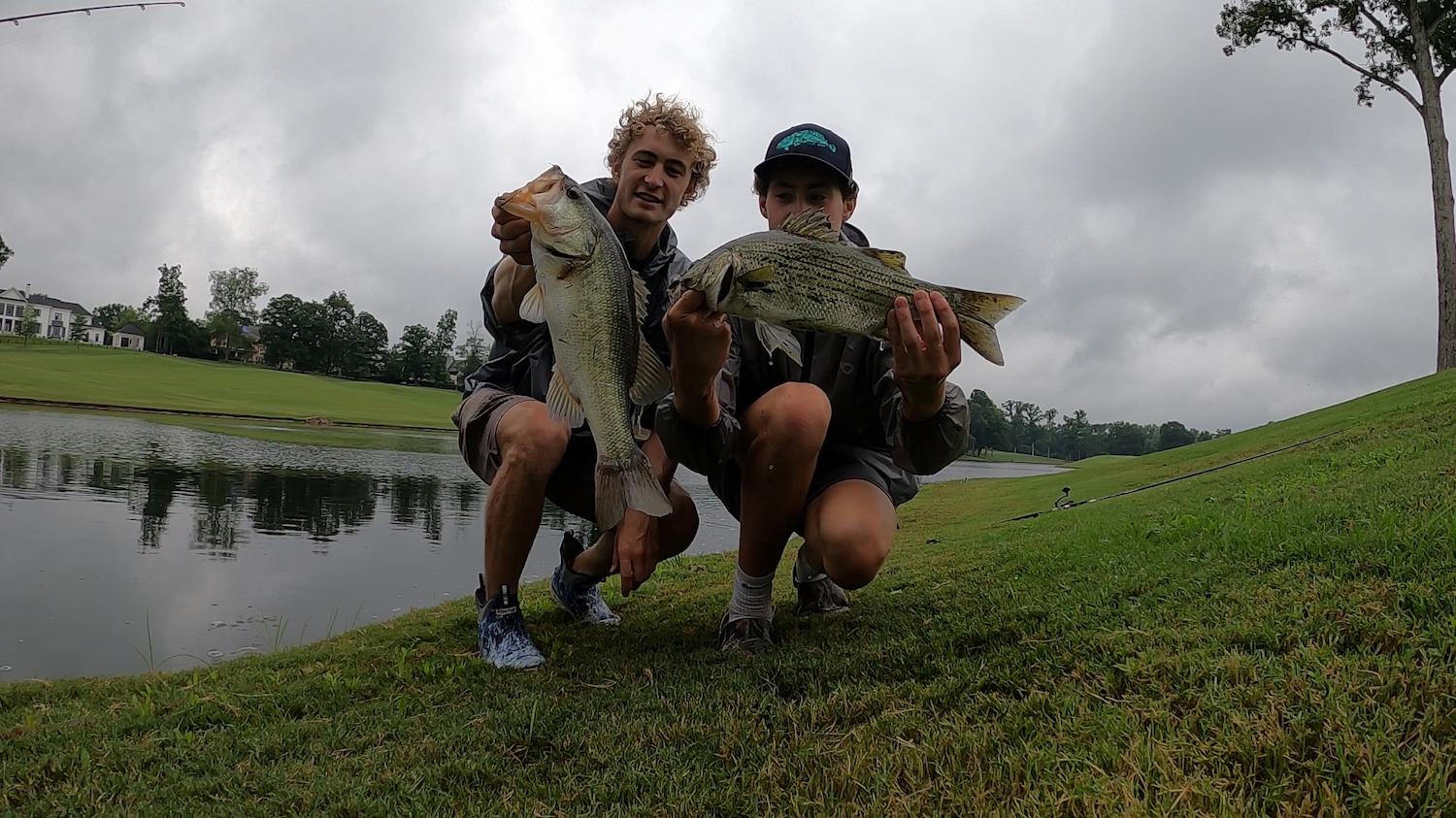 striper and largemouth