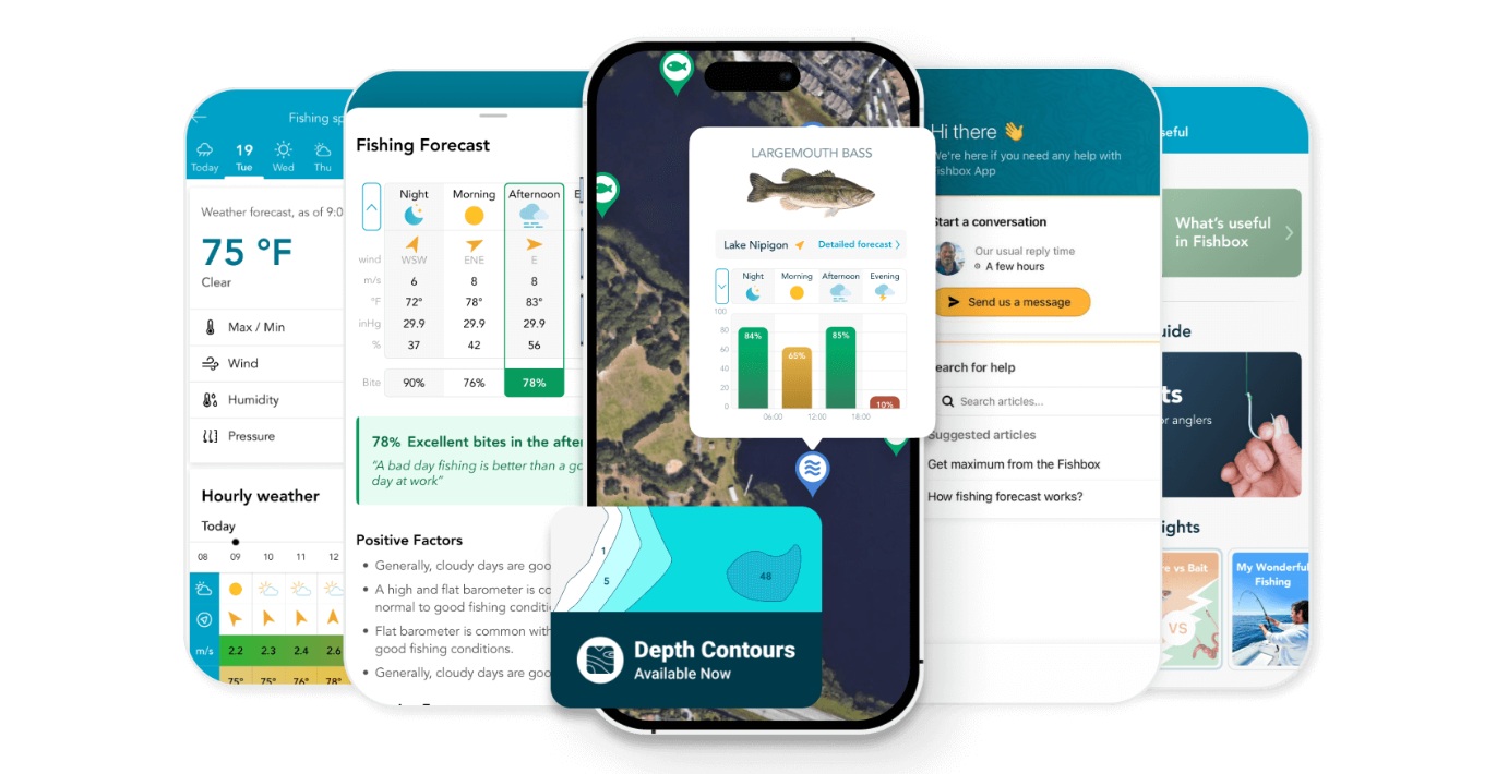 9 Best Fishing Apps in 2026