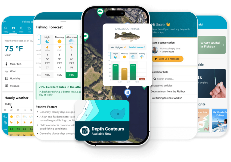 9 Best Fishing Apps in 2026