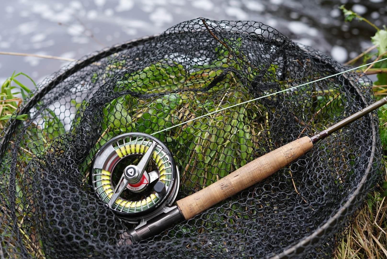 Fly Fishing for Beginners: Everything You Need to Know