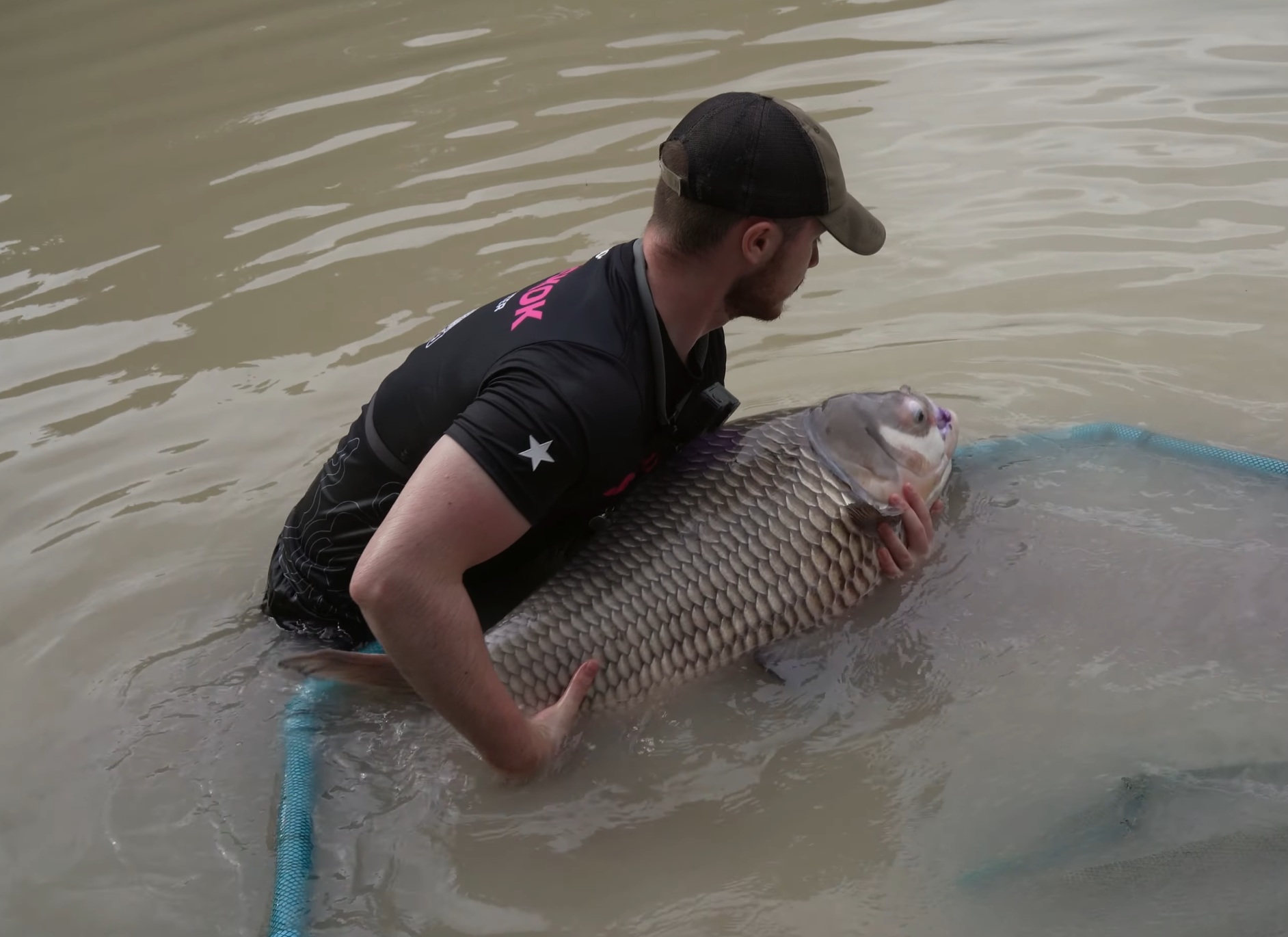 Feeder Fishing for Carp: Complete Setup Guide
